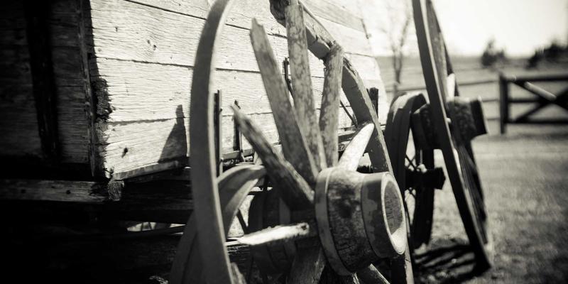 奥兰治城47号公路沿途农场市集：一场味蕾与风景的邂逅之旅