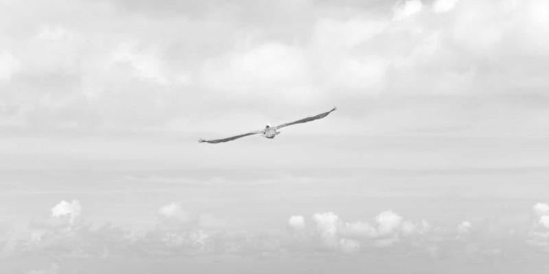 奥兰治城58号美食探索之旅：一份让味蕾与心灵同行的旅游攻略