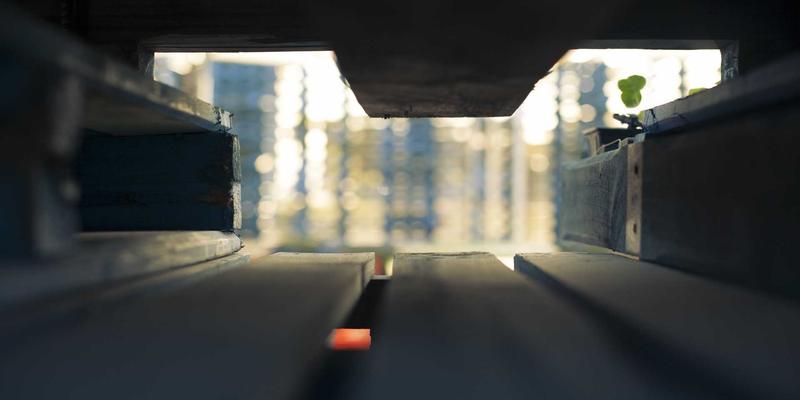 奥兰治城70：美食、景点与目的地全攻略，解锁佛罗里达的甜蜜宝藏