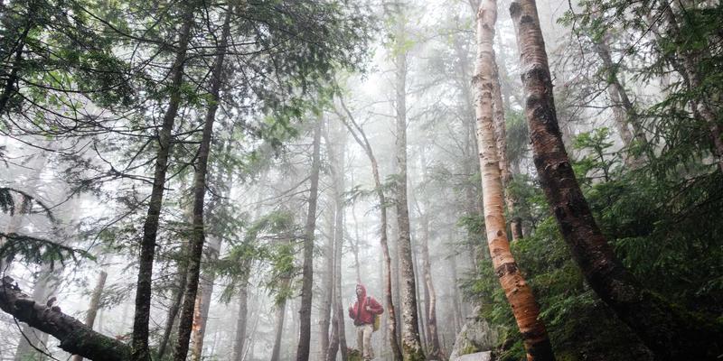 奥兰治城85号公路终极指南：解锁佛罗里达隐藏的宝藏之旅