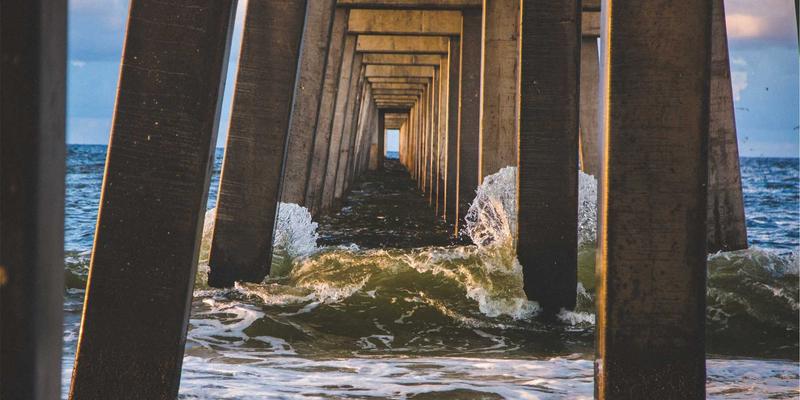 奥兰治城农夫市场当季蔬果采购清单：旅游攻略与行程规划指南