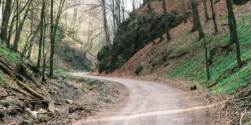 奥兰治城完全指南:行程规划与美食探索之旅