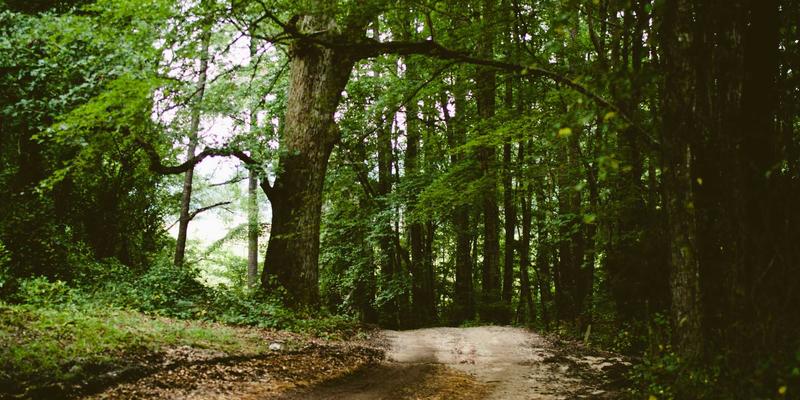 奥兰治城旅游攻略：深度评测市中心与湖畔豪华公寓的居住体验与社区生活