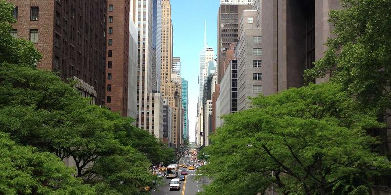 奥兰治城旅游攻略：解锁绿色出行，漫游美食与风景的目的地推荐