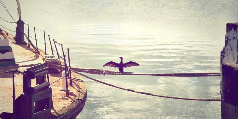 奥兰治城旅行指南：探秘水资源治理下的生态景点与可持续行程规划