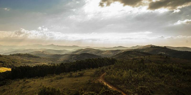 奥兰治城旅行指南：探索顶尖医疗健康产业与美食目的地