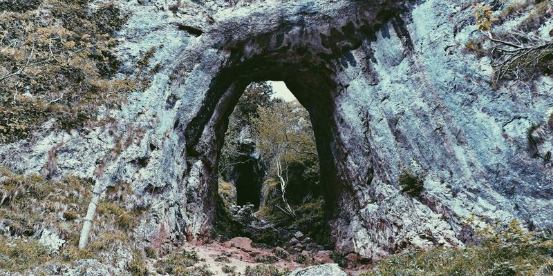 奥兰治城本地农夫市场探秘：美食、手工艺品与社区文化的终极旅游攻略