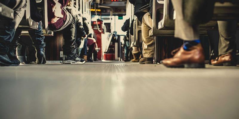 奥兰治城深度探索：美食与景点的完美融合之旅