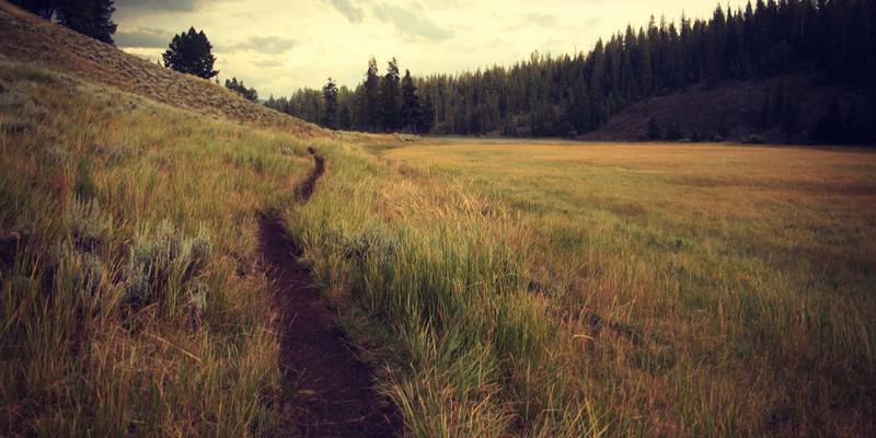 奥兰治城终极指南：探索佛罗里达的“柑橘之都”与隐藏瑰宝