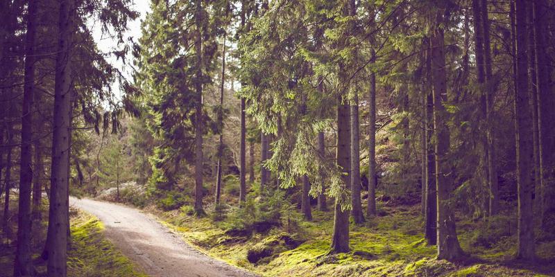 奥兰治城美食终极指南：行程规划与地道餐厅推荐全攻略