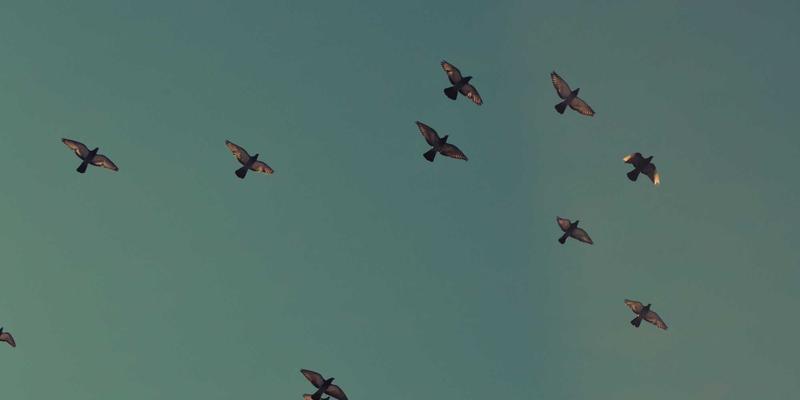 奥兰治城购物中心：独立设计师品牌与美食景点一站式体验