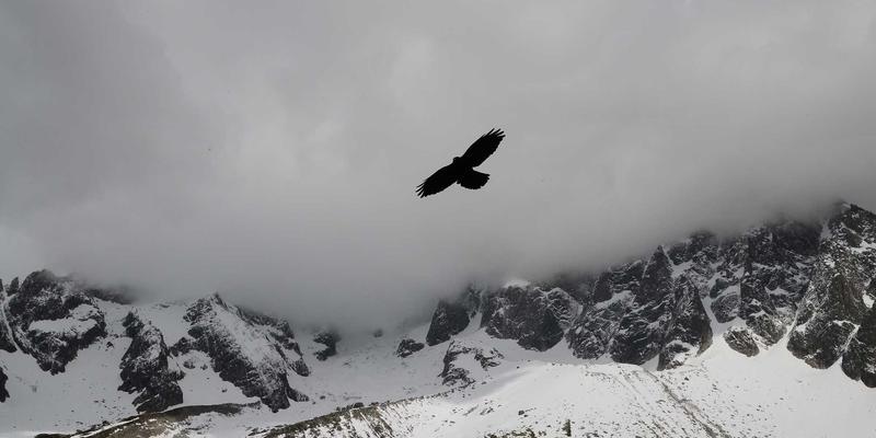 奥兰治城退休生活全指南：理想社区、医疗资源与休闲活动深度解析