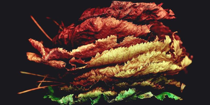 奥兰治城飓风季行程规划：从家庭防灾到社区响应的终极目的地指南