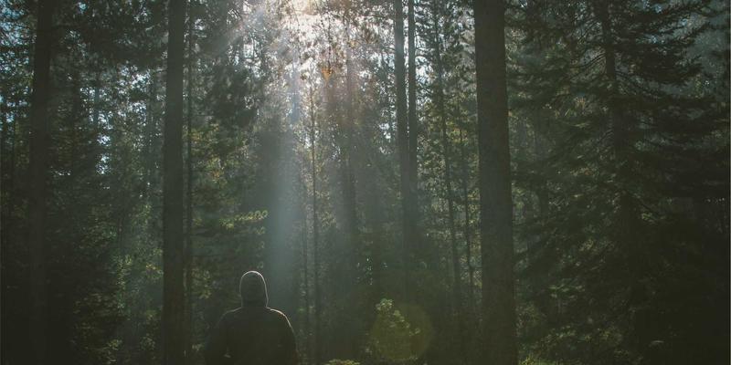奥兰治城高尔夫度假全攻略：顶级球场推荐与奢华度假村行程规划指南